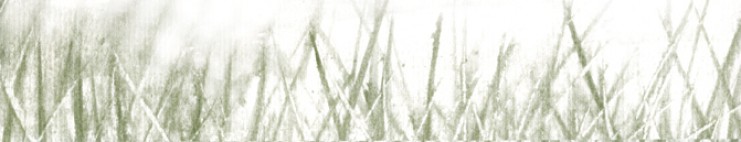 Elizabeth 'Libby' Marshall,   MLA  :  Landscape   Architect